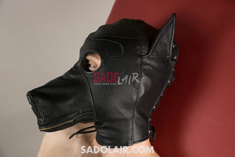 Leather Hood Dog Sadolair Collection
