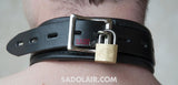 Deluxe Padded Leather Collar Sadolair Collection