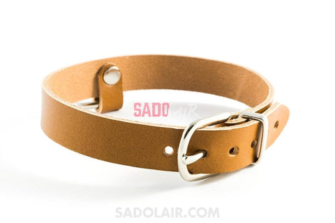 Brown Leather Collar With Ring Sadolair Collection